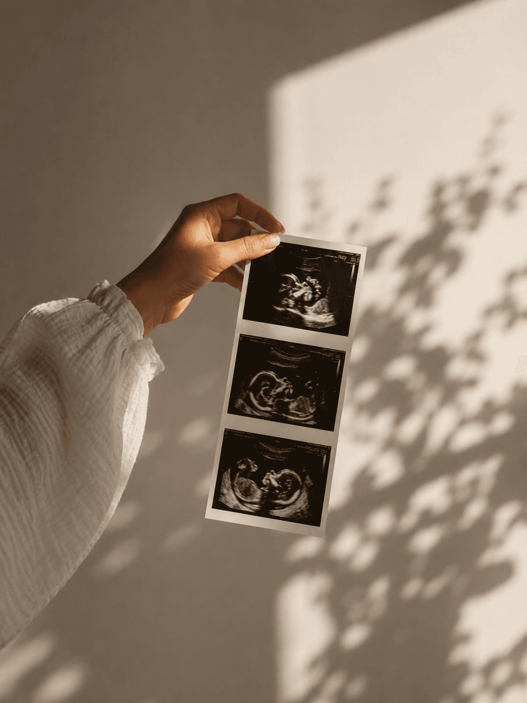First Flutter — First Trimester box