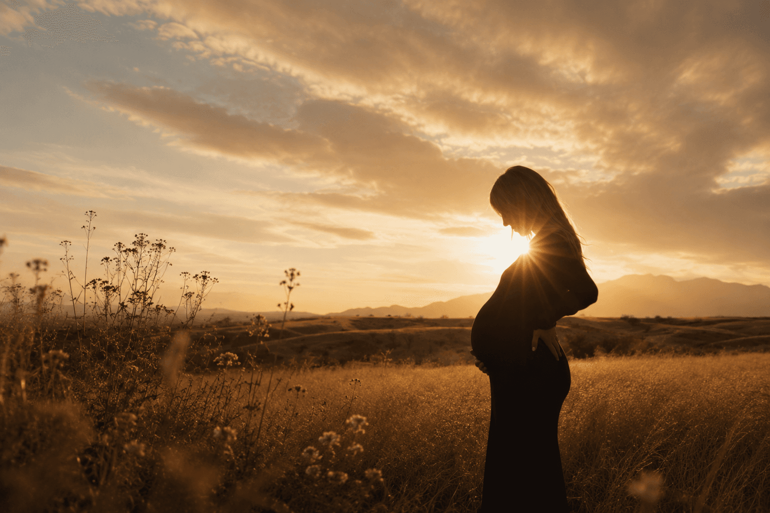 Pregnant mother in golden field at sunset